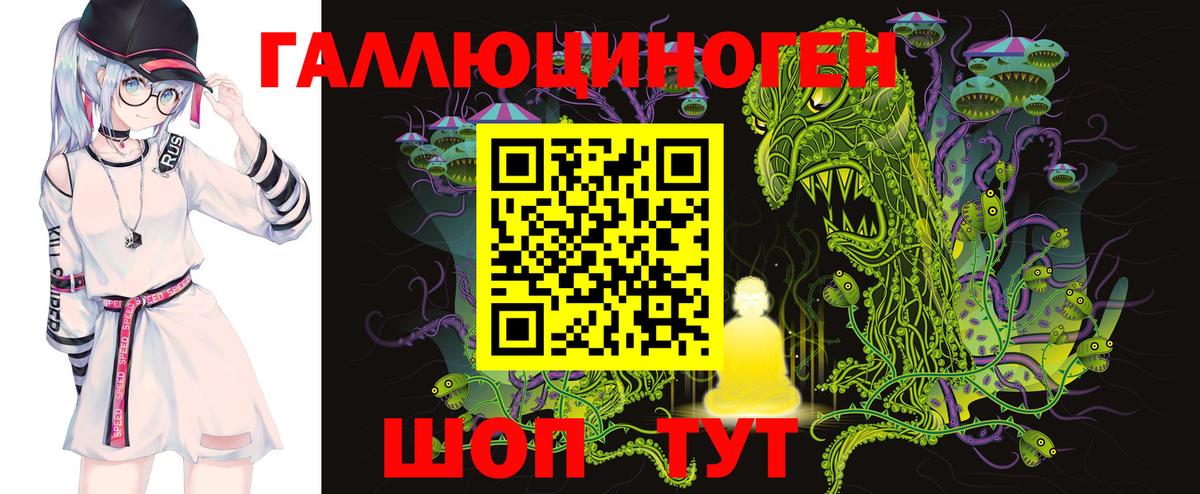 Мыски  Псилоцибиновые грибы Psilocybine cubensis  Вход с VPN 